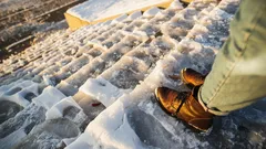 Geen zout en geen zand: waarmee strooi je paden het best bij ijzel?