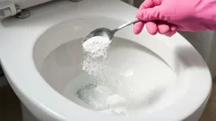 Geen spoor meer van een verstopte wc: een simpele methode zonder dure chemicaliën