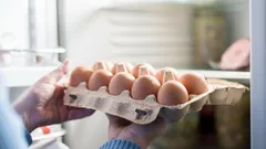 Kun je eieren in het deurtje van de koelkast bewaren: de grootste fouten bij het bewaren van eieren
