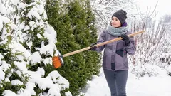 Moet je sneeuw van takken in de tuin afschudden? Dit adviseren ervaren tuiniers