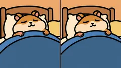 Puzzel: kun jij binnen 29 seconden 3 verschillen vinden op de afbeelding van de hamster?