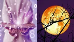 Maankalender voor januari 2026: deze 8 dagen zijn het meest gunstig