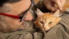 Je kat drukt zich niet tegen je aan uit knuffelbehoefte: het signaal dat baasjes vaak negeren