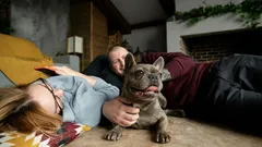 Van neus tot staart: zo leer je de lichaamstaal van je hond begrijpen