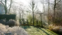 Moet je je gazon in de winter sproeien? Antwoord van experts