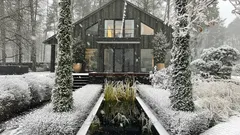 Hoe bescherm je tuinplanten tegen winterverbranding – tips van een tuinier