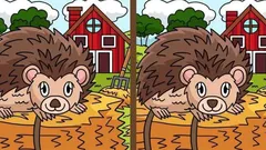 Puzzel: kun jij in 25 seconden 3 verschillen vinden op de afbeelding met een egel?