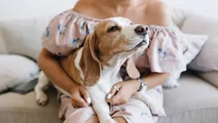 Hondenliefde is ingewikkelder dan het lijkt: tekens die belangrijker zijn dan duizend woorden