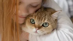 Houd je van katten? Psychologen noemen 5 typische karaktertrekken van deze mensen