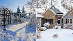 Wat je in januari in de tuin moet doen: 7 tips van de koninklijke tuinman