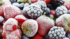 Diepvriesfruit versus vers fruit: wat behoudt meer voedingsstoffen en is budgetvriendelijker?