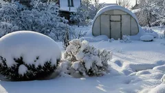 Hoe je sneeuw in de moestuin slim gebruikt: 4 onverwachte toepassingen