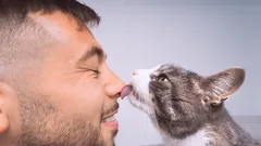 De geheimen van kattentederheid: waarom katten het hoofd van hun baasje likken