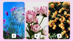 Psychologische test: kies een bloem en ontdek je grootste talent