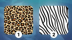 Hart of verstand: kies een patroon en ontdek wat je echt drijft